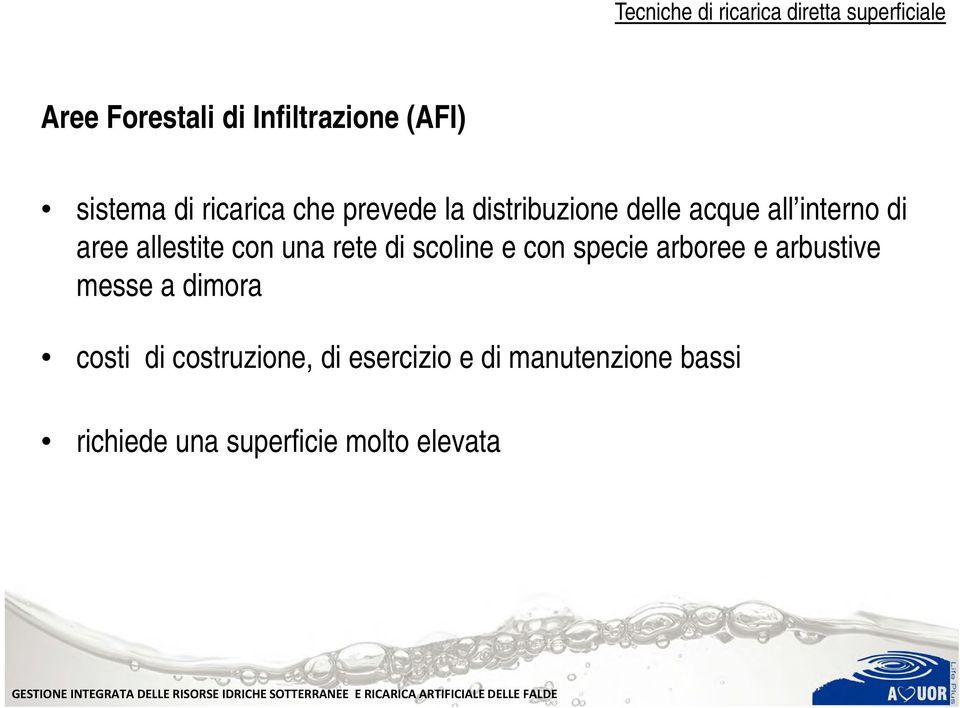 allestite con una rete di scoline e con specie arboree e arbustive messe a dimora