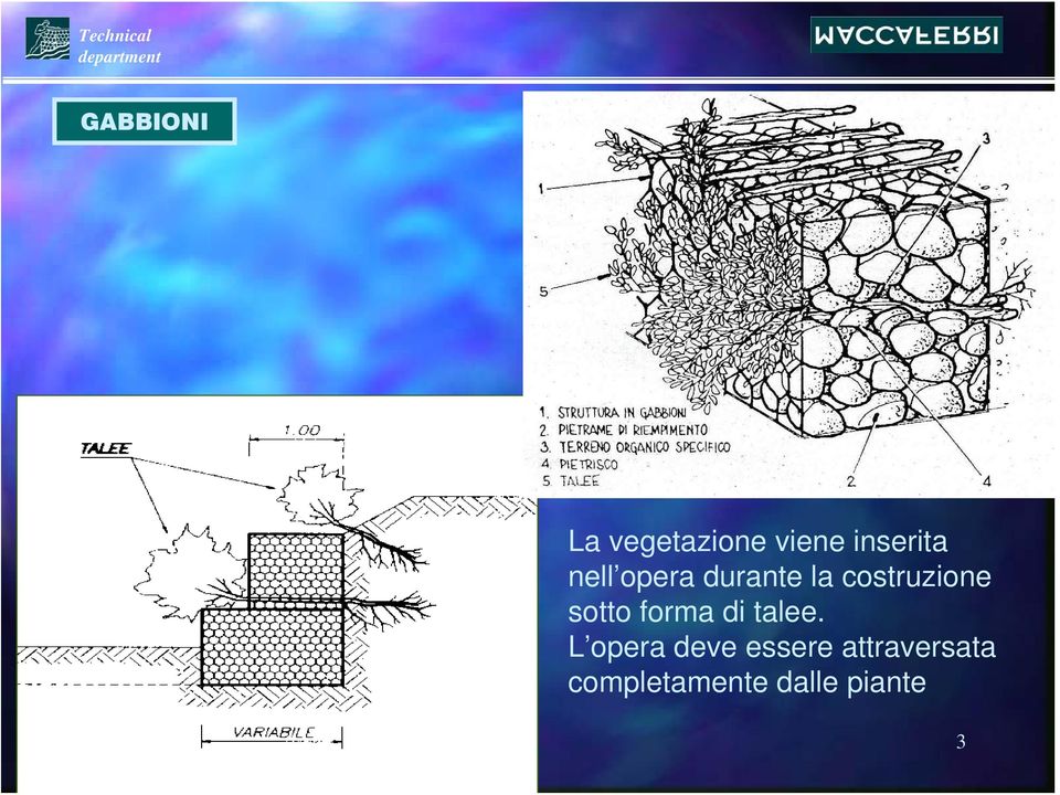 sotto forma di talee.