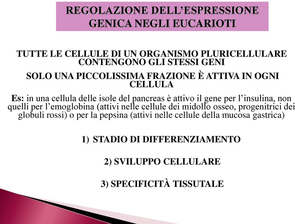 per l insulina, non quelli per l emoglobina (attivi nelle cellule dei midollo osseo, progenitrici dei globuli rossi) o per