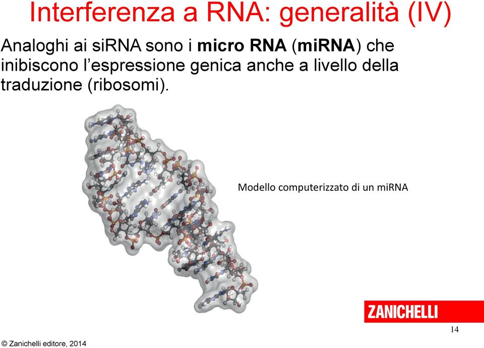 espressione genica anche a livello della