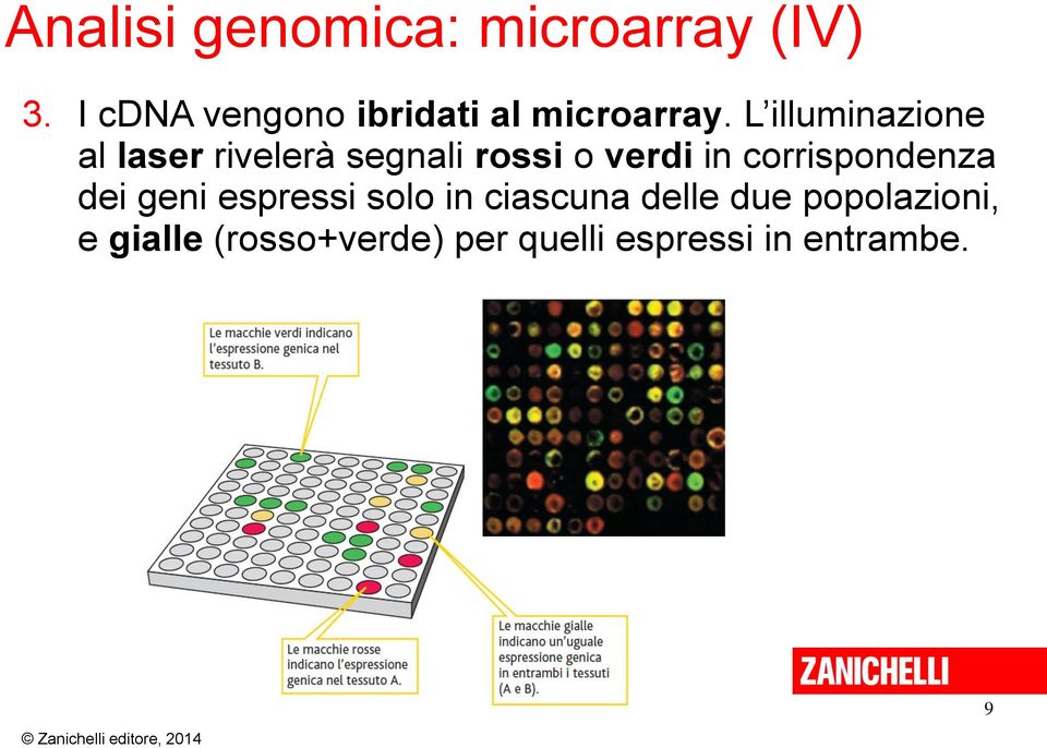 L illuminazione al laser rivelerà segnali rossi o verdi in