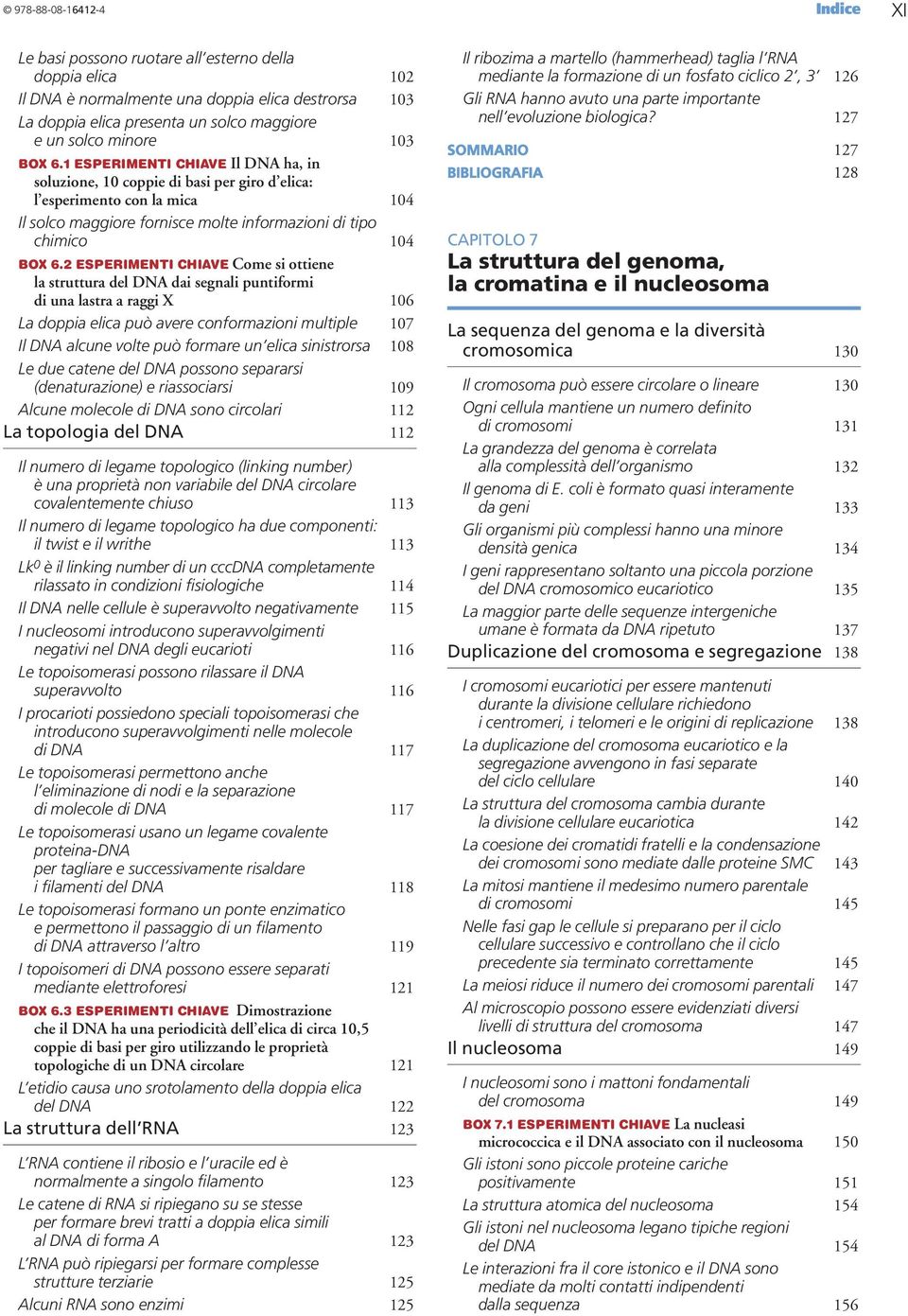 2 ESPERIMENTI CHIAVE Come si ottiene la struttura del DNA dai segnali puntiformi di una lastra a raggi X 106 La doppia elica può avere conformazioni multiple 107 Il DNA alcune volte può formare un