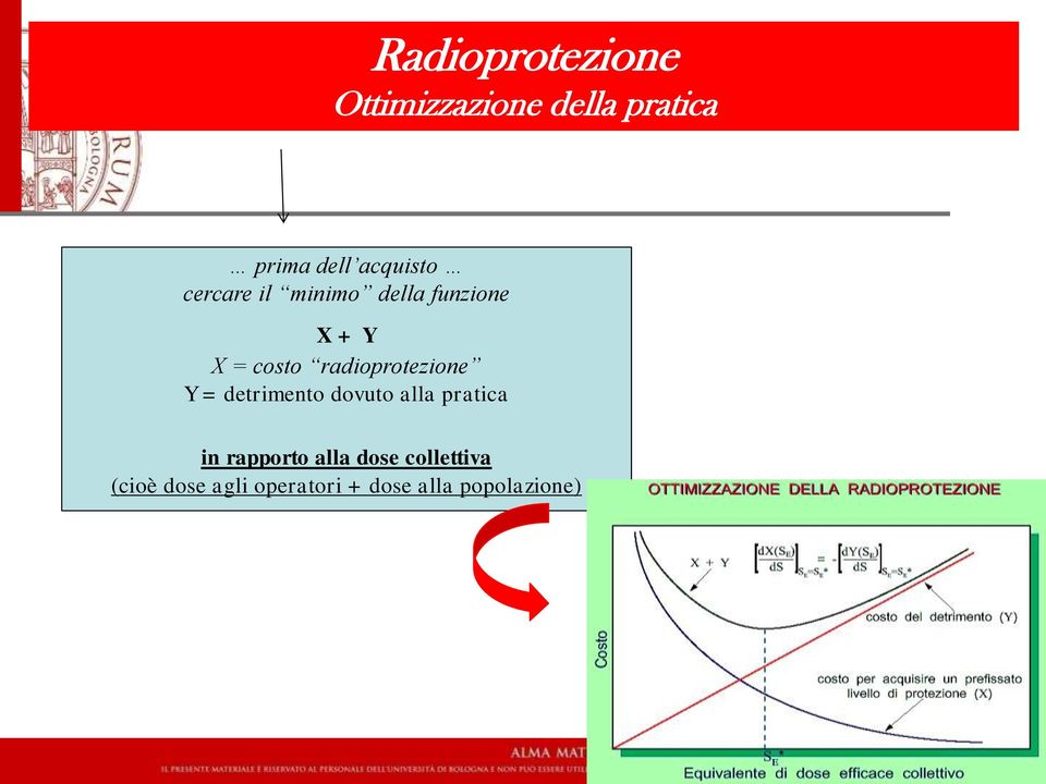 radioprotezione Y = detrimento dovuto alla pratica in