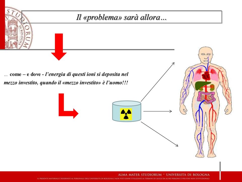 deposita nel mezzo investito,