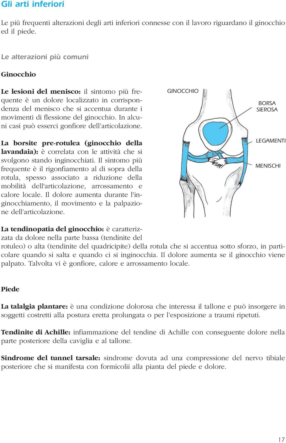 ginocchio. In alcuni casi può esserci gonfiore dell articolazione. La borsite pre-rotulea (ginocchio della lavandaia): è correlata con le attività che si svolgono stando inginocchiati.