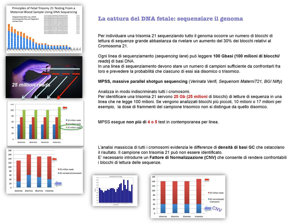 In una linea di sequenziamento devono stare un numero di campioni sufficiente da confrontarli fra loro e prevedere la probabilità che ciascuno di essi sia disomico o trisomico.