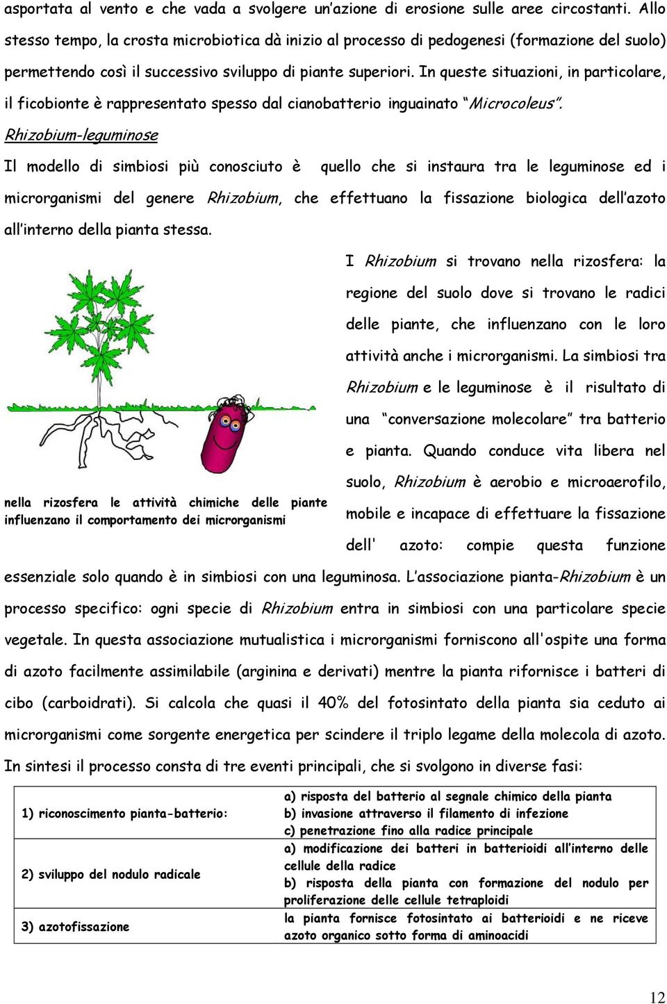 In queste situazioni, in particolare, il ficobionte è rappresentato spesso dal cianobatterio inguainato Microcoleus.