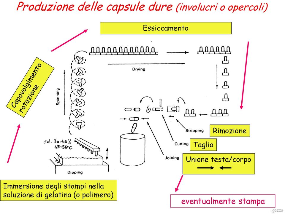 testa/corpo Immersione degli stampi nella