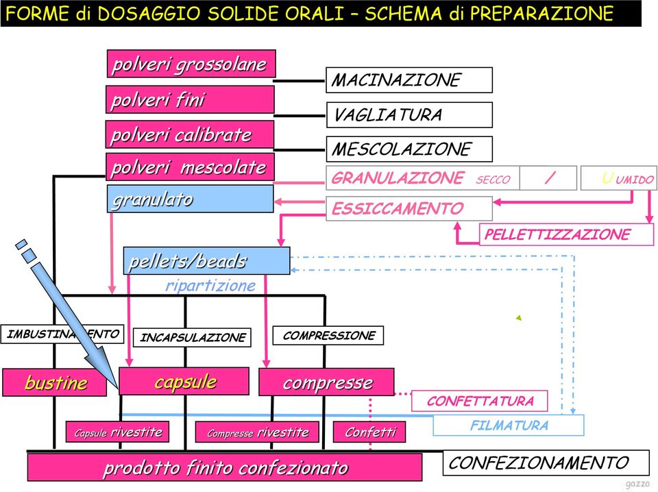 PELLETTIZZAZIONE pellets/beads ripartizione IMBUSTINAMENTO INCAPSULAZIONE COMPRESSIONE bustine capsule
