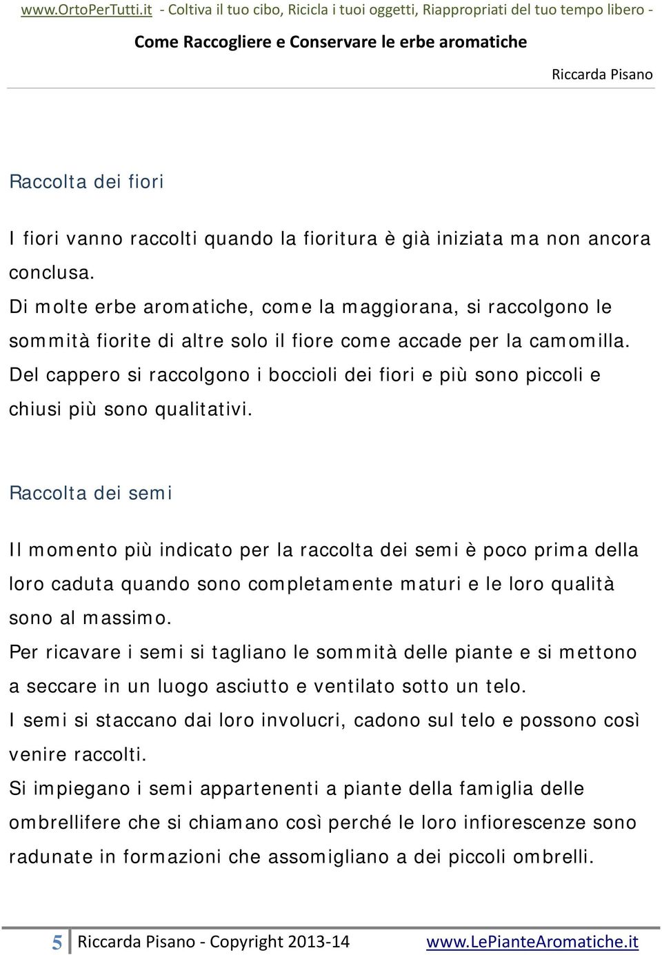 Del cappero si raccolgono i boccioli dei fiori e più sono piccoli e chiusi più sono qualitativi.