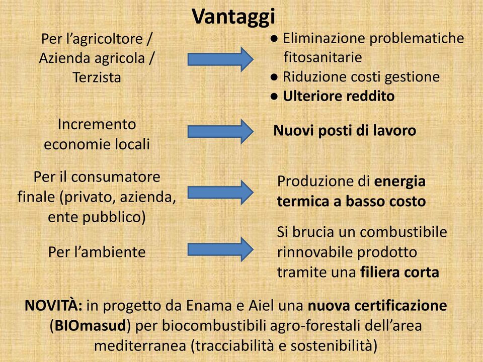 Produzione di energia termica a basso costo Si brucia un combustibile rinnovabile prodotto tramite una filiera corta NOVITÀ: in