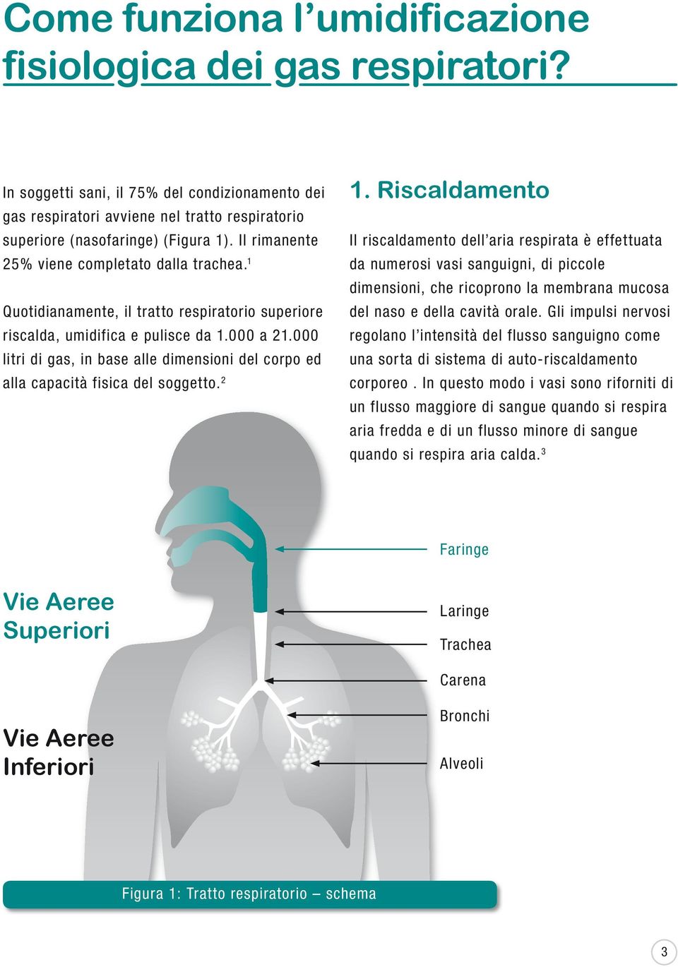 000 litri di gas, in base alle dimensioni del corpo ed alla capacità fisica del soggetto. 2 1.