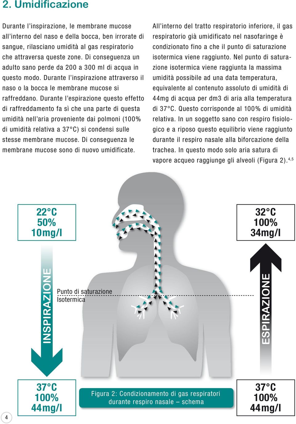 Durante l espirazione questo effetto di raffreddamento fa sì che una parte di questa umidità nell aria proveniente dai polmoni (100% di umidità relativa a 37 C) si condensi sulle stesse membrane