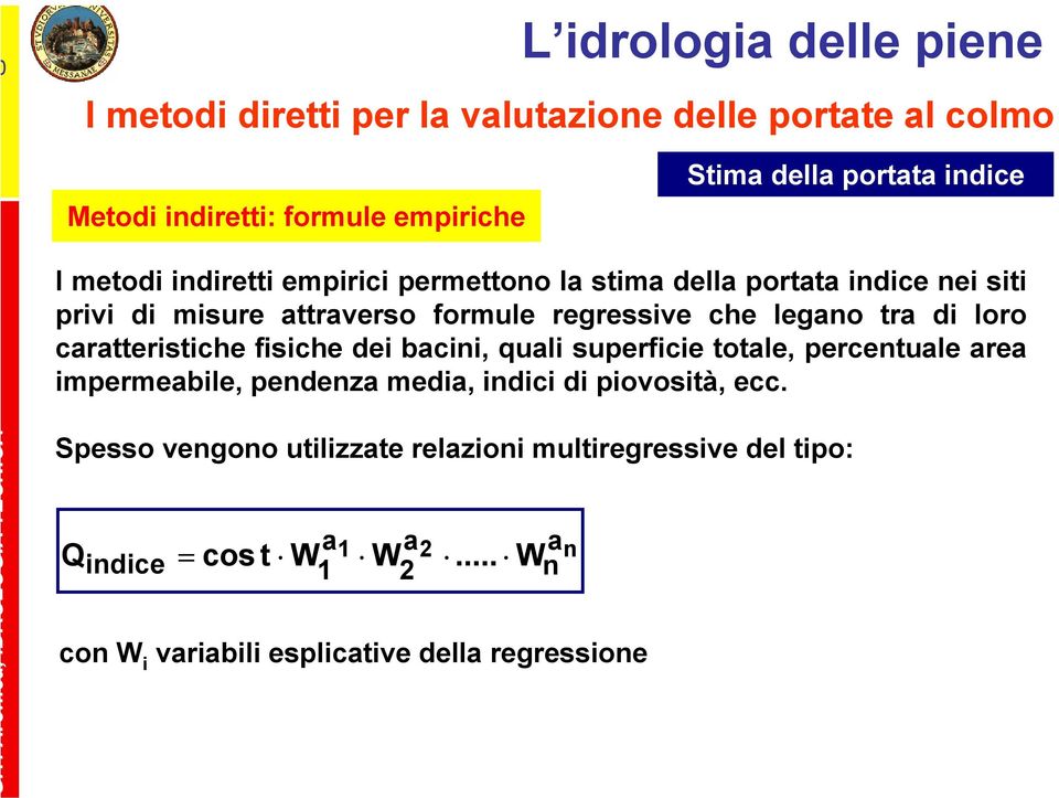 bacini, quali superficie totale, percentuale area impermeabile, pendenza media, indici di piovosità, ecc.