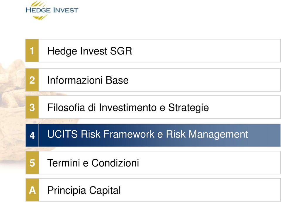 5 A UCITS Risk Framework e Risk