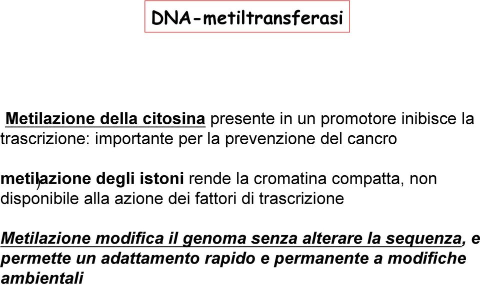 cromatina compatta, non disponibile alla azione dei fattori di trascrizione Metilazione