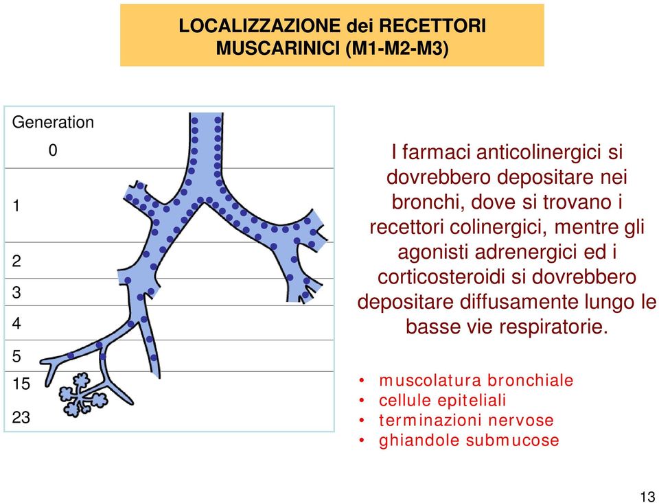 mentre gli agonisti adrenergici ed i corticosteroidi si dovrebbero depositare diffusamente lungo le