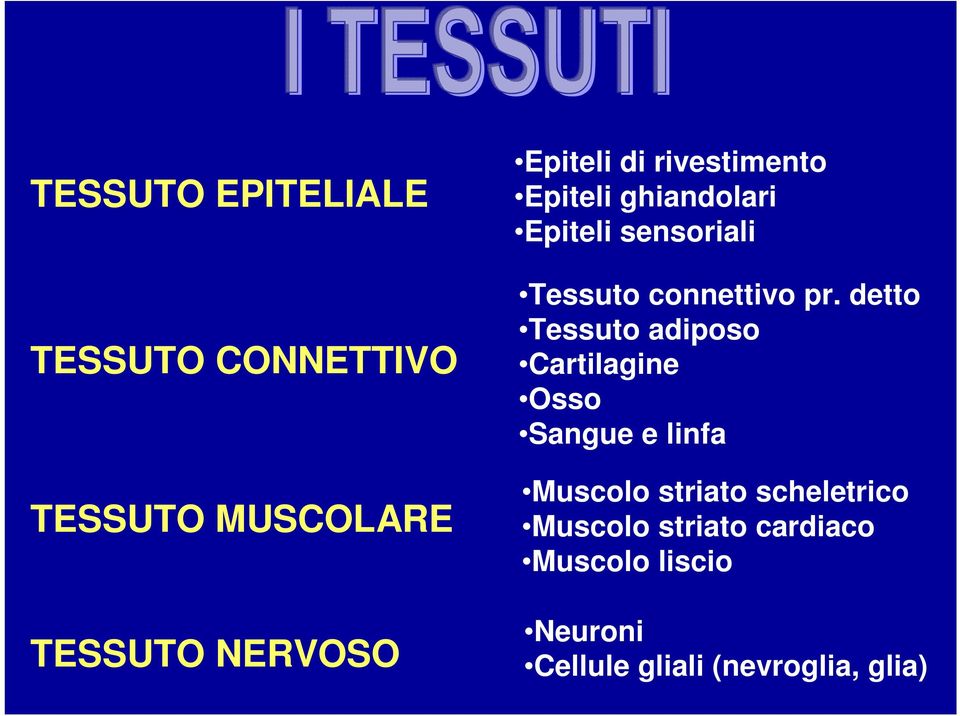 detto Tessuto adiposo Cartilagine Osso Sangue e linfa Muscolo striato