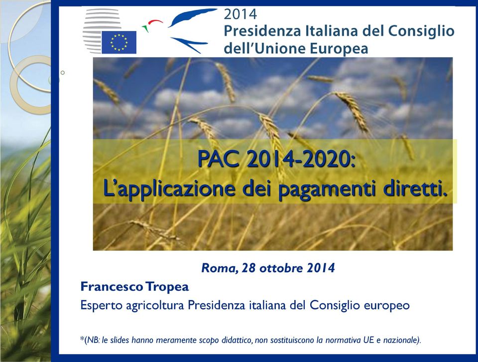 Presidenza italiana del Consiglio europeo *(NB: le slides