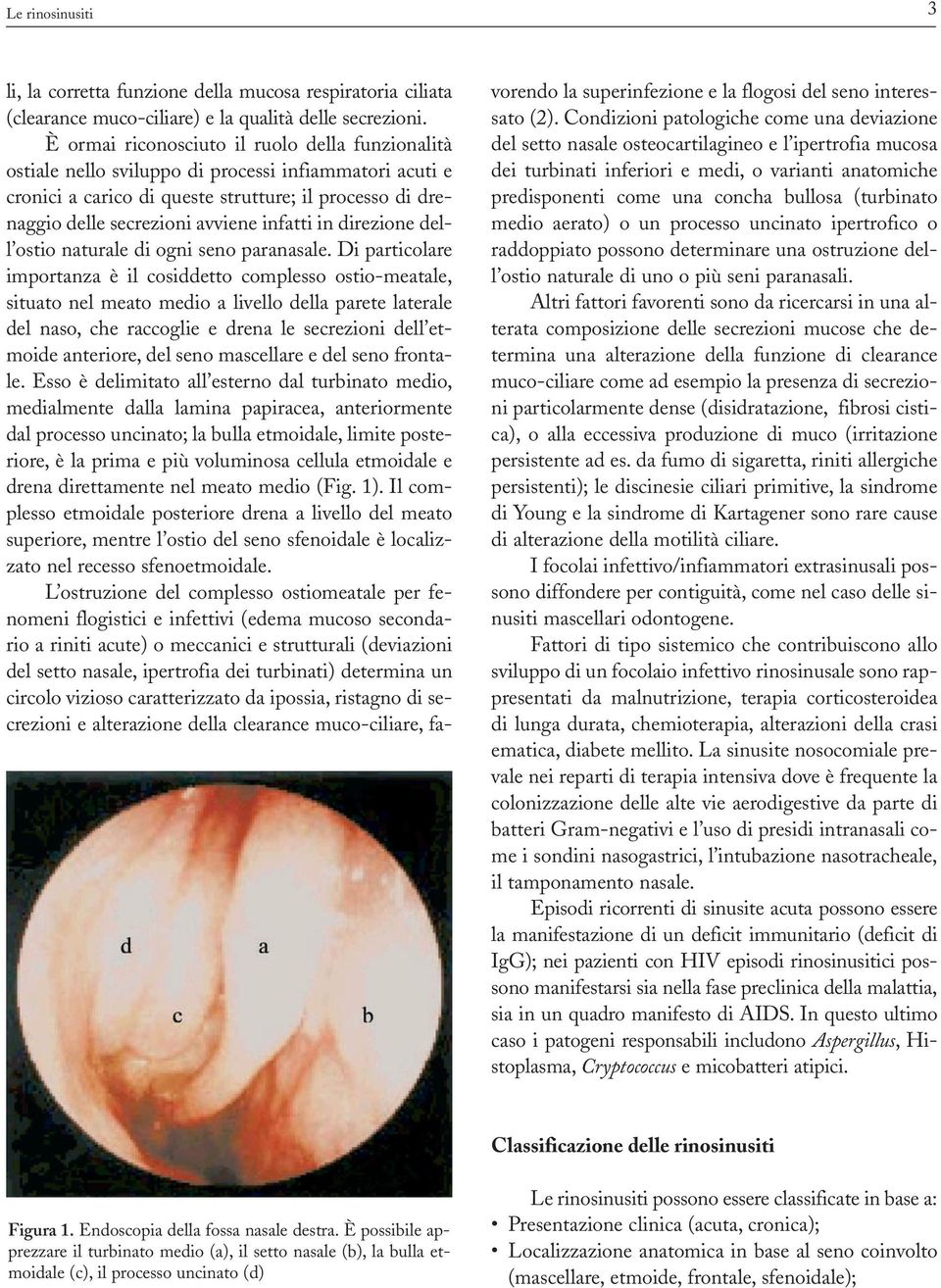 infatti in direzione dell ostio naturale di ogni seno paranasale.