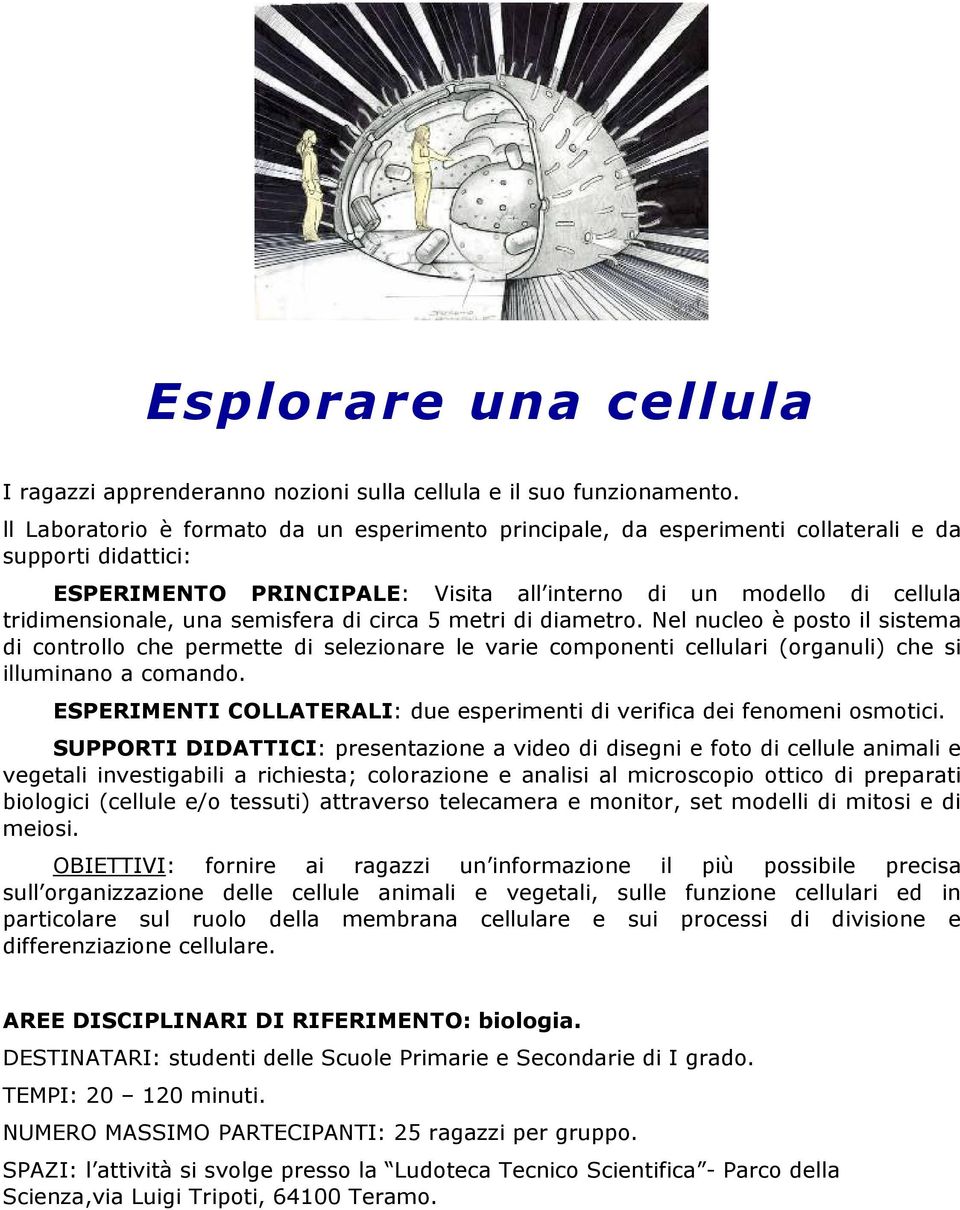 semisfera di circa 5 metri di diametro. Nel nucleo è posto il sistema di controllo che permette di selezionare le varie componenti cellulari (organuli) che si illuminano a comando.