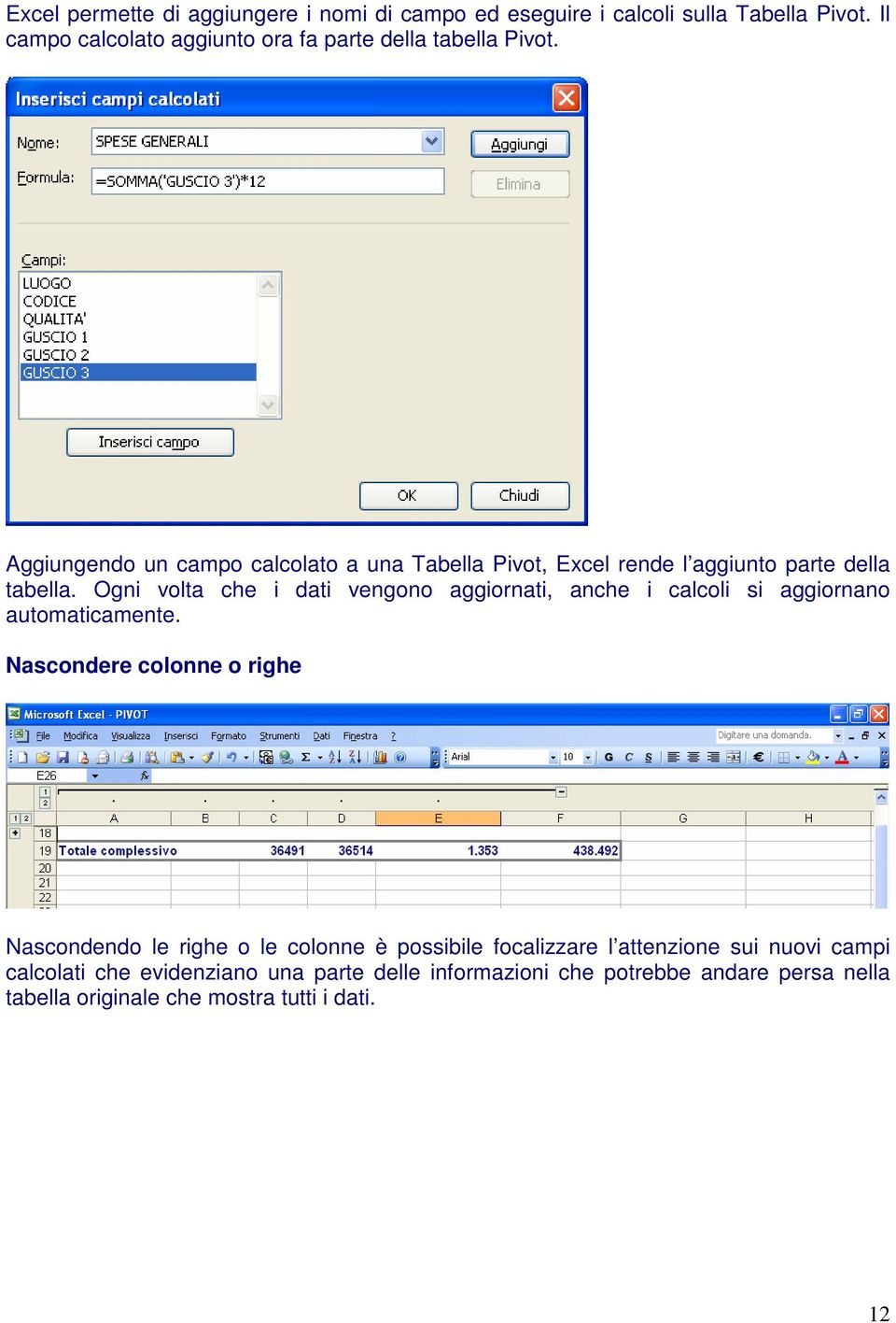 Aggiungendo un campo calcolato a una Tabella Pivot, Excel rende l aggiunto parte della tabella.