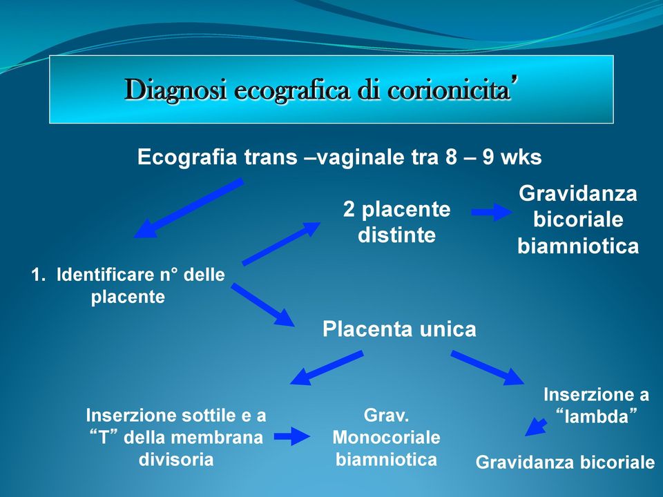 placente distinte Placenta unica Gravidanza bicoriale biamniotica