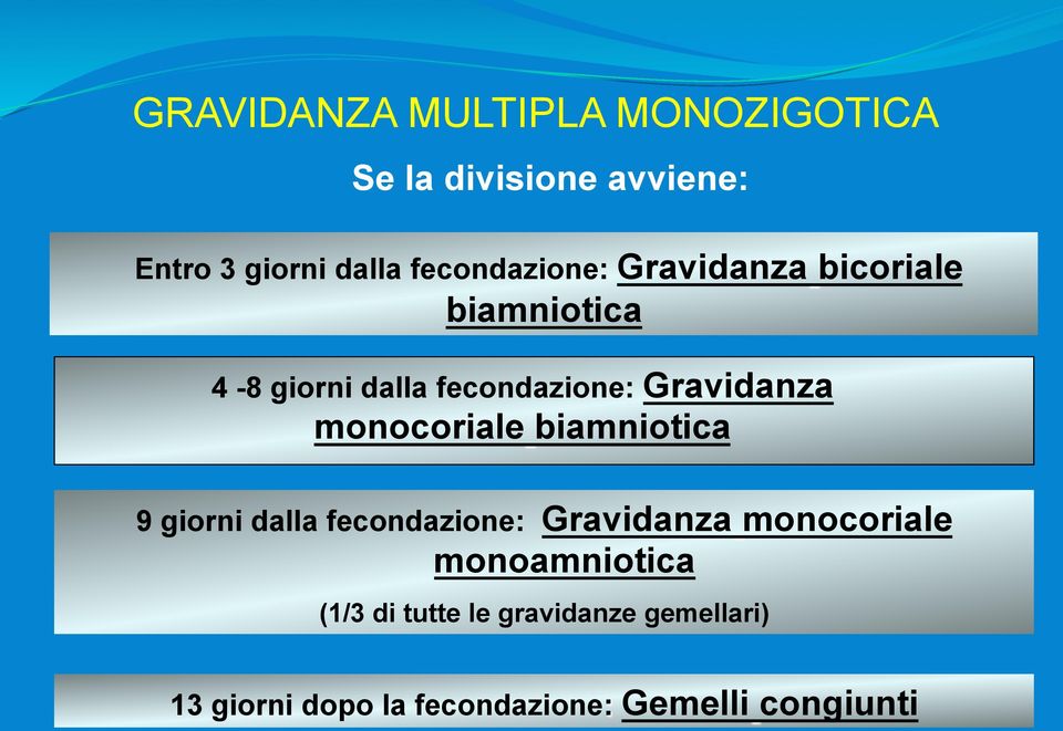 Gravidanza monocoriale biamniotica 9 giorni dalla fecondazione: Gravidanza monocoriale