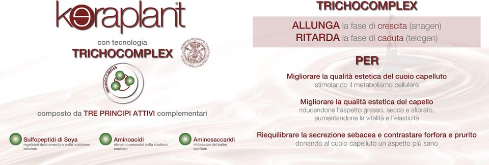 riducendone l aspetto grasso, secco e sfibrato, aumentandone la vitalità e l elasticità Sulfopeptidi di Soya regolatori della crescita e della nutrizione cellulare Aminoacidi elementi