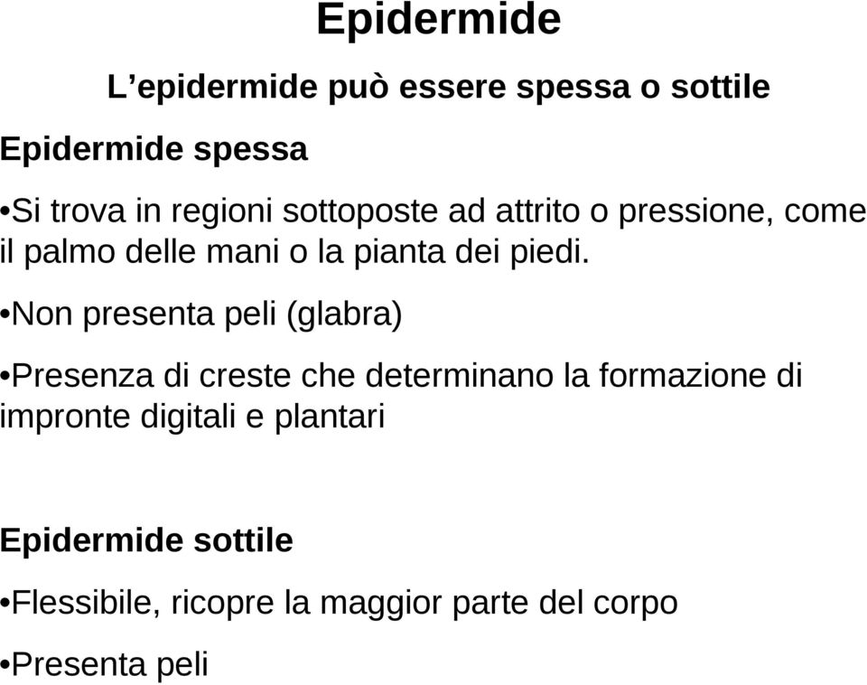 Non presenta peli (glabra) Presenza di creste che determinano la formazione di impronte