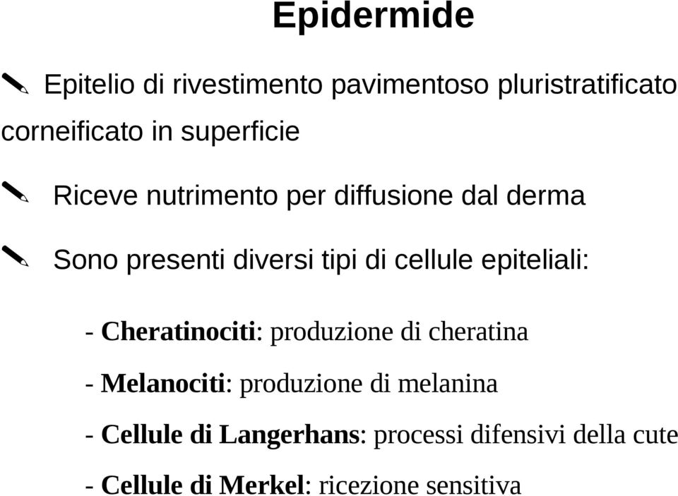 cellule epiteliali: - Cheratinociti: produzione di cheratina - Melanociti: produzione di