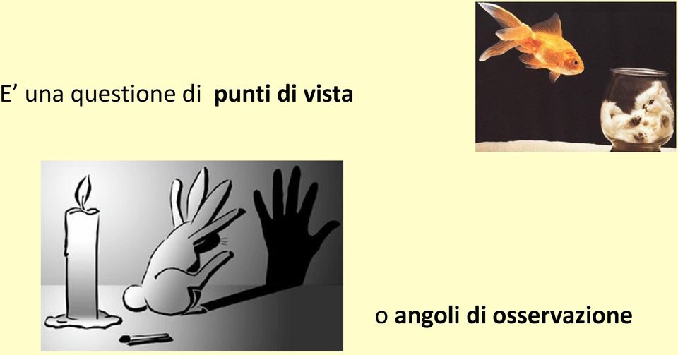 punti di vista