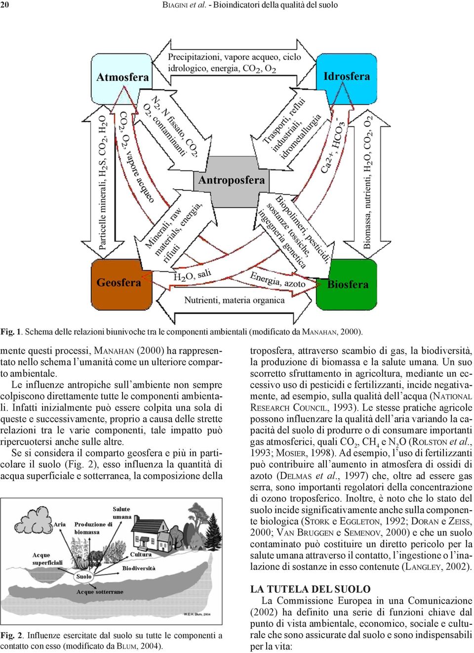 Le influenze antropiche sull ambiente non sempre colpiscono direttamente tutte le componenti ambientali.