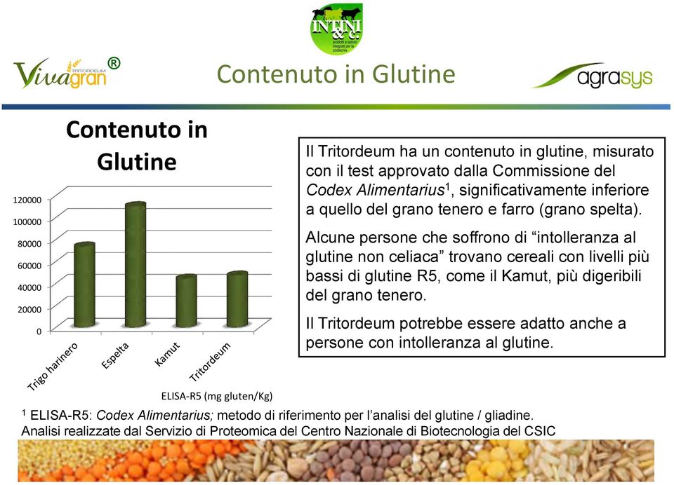 Alcune persone che soffrono di intolleranza al glutine non celiaca trovano cereali con livelli più bassi di glutine R5, come il Kamut, più digeribili del grano tenero.