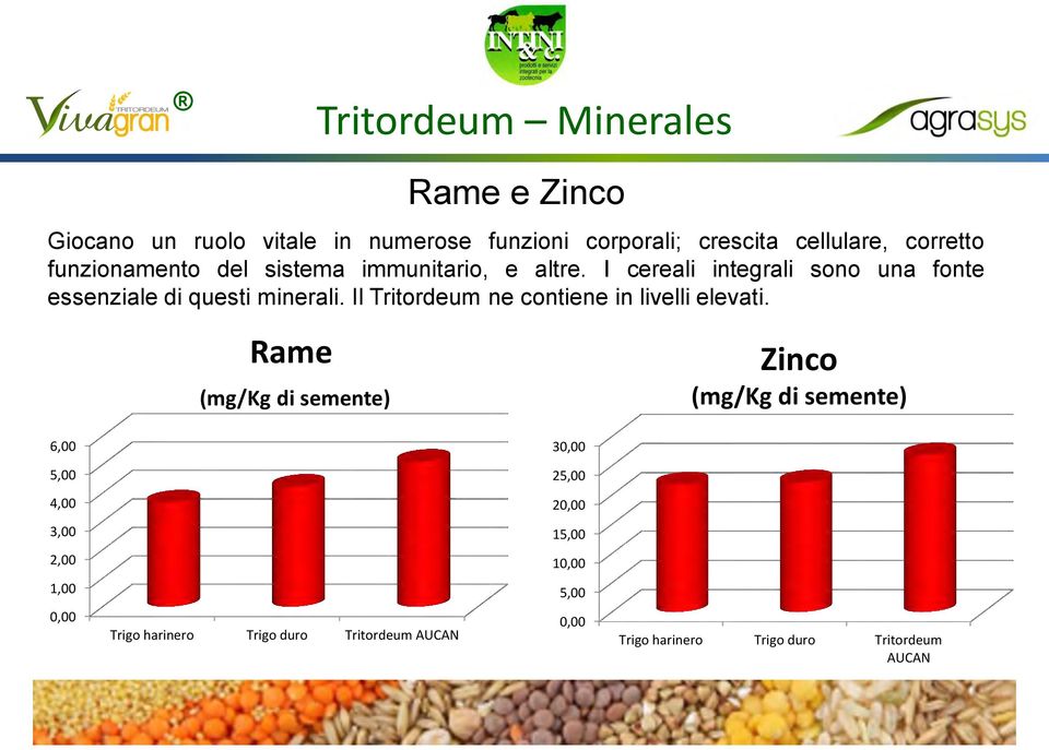 Il Tritordeum ne contiene in livelli elevati.