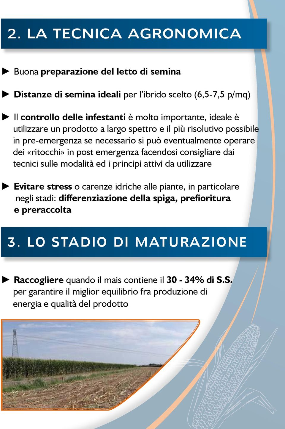 consigliare dai tecnici sulle modalità ed i principi attivi da utilizzare Evitare stress o carenze idriche alle piante, in particolare negli stadi: differenziazione della spiga,