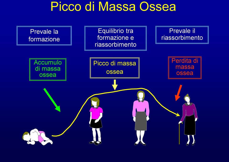 formazione e riassorbimento Picco di massa