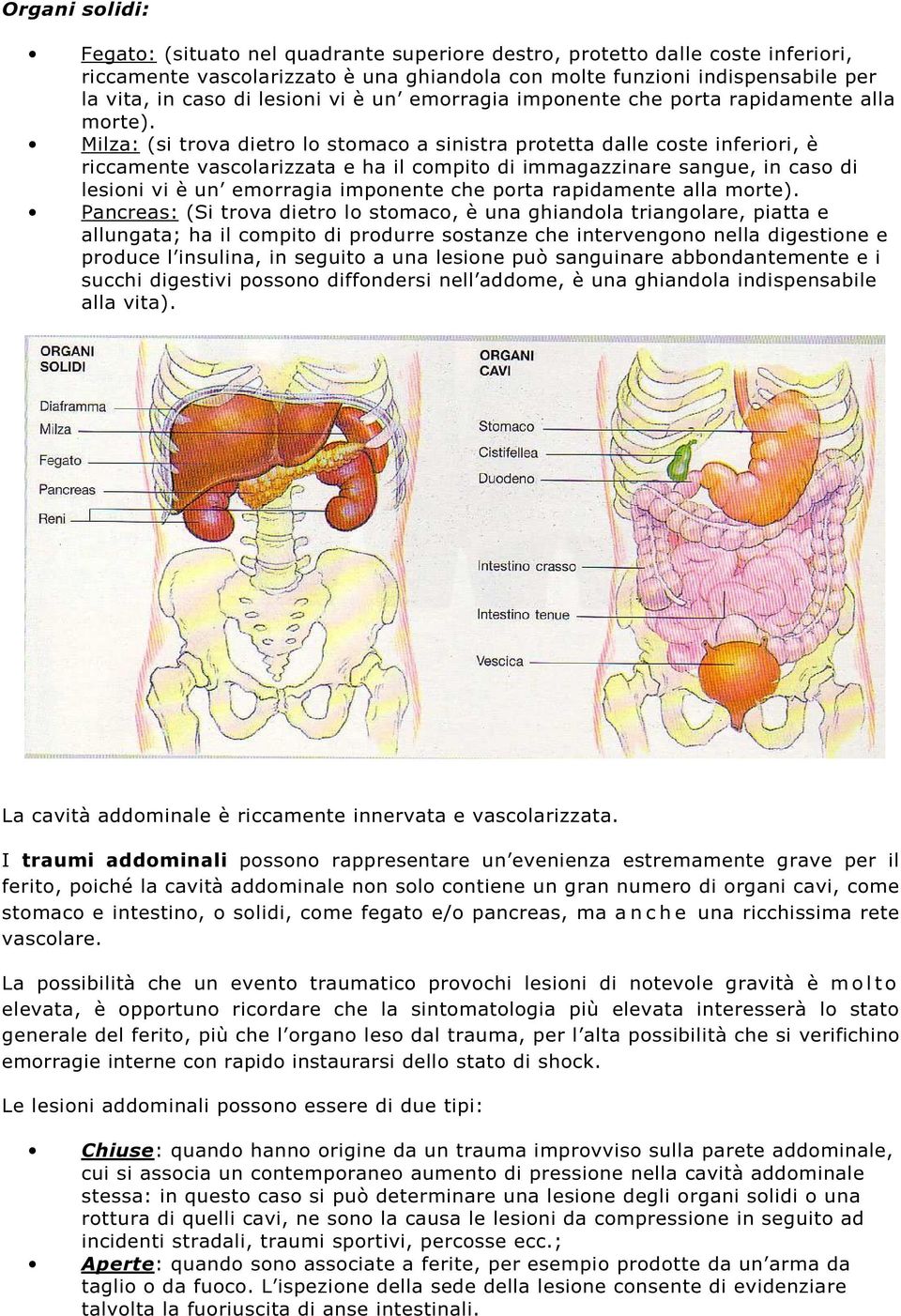 Milza: (si trova dietro lo stomaco a sinistra protetta dalle coste inferiori, è riccamente vascolarizzata e ha il compito di immagazzinare sangue, in caso di  Pancreas: (Si trova dietro lo stomaco, è