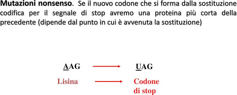 codifica per il segnale di stop avremo una proteina più