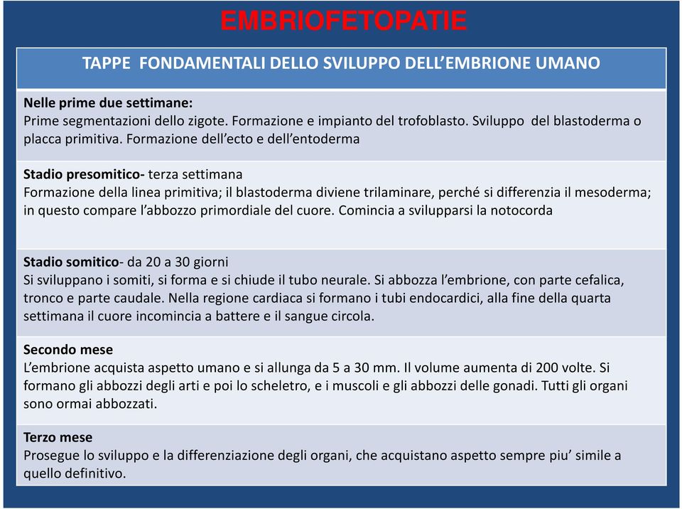 Formazione dell ecto e dell entoderma Stadio presomitico- terza settimana Formazione della linea primitiva; il blastoderma diviene trilaminare, perché si differenzia il mesoderma; in questo compare l