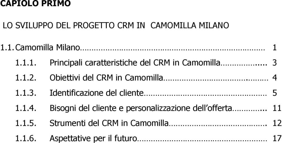 Obiettivi del CRM in Camomilla. 4 1.1.3. Identificazione del cliente 5 1.1.4. Bisogni del cliente e personalizzazione dell offerta.