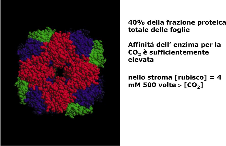 la CO 2 è sufficientemente elevata