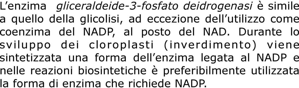 Durante lo sviluppo dei cloroplasti (inverdimento) viene sintetizzata una forma dell