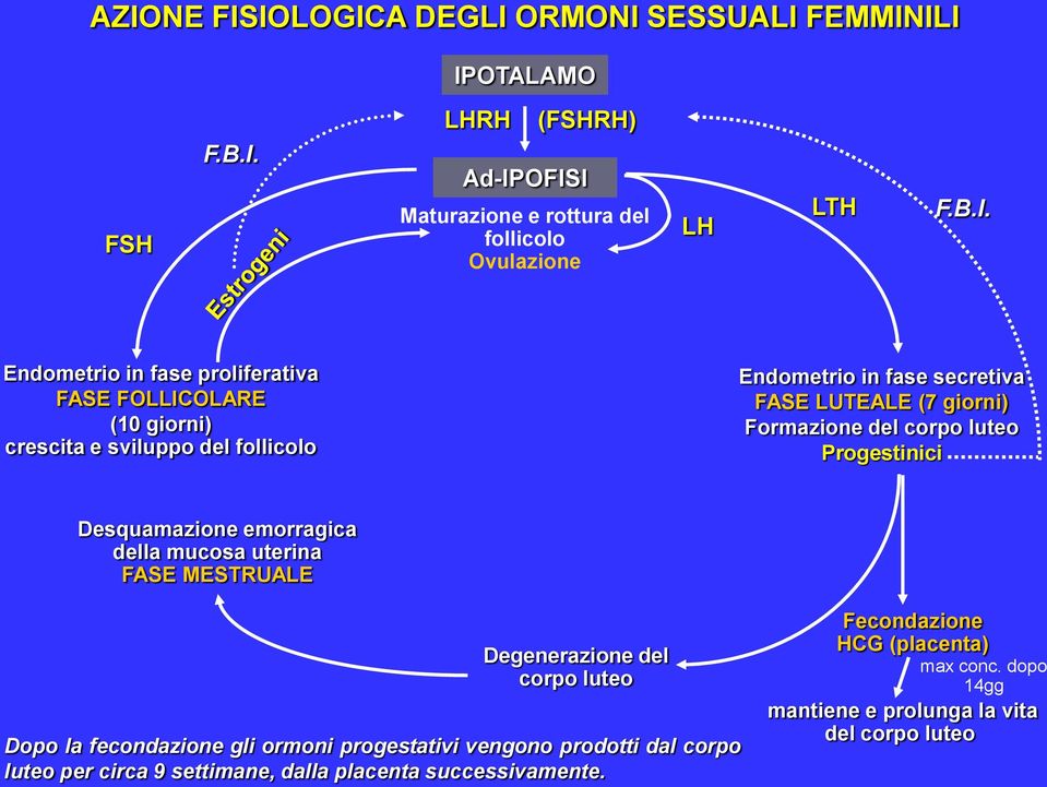 Progestinici Desquamazione emorragica della mucosa uterina FASE MESTRUALE Degenerazione del corpo luteo Dopo la fecondazione gli ormoni progestativi vengono