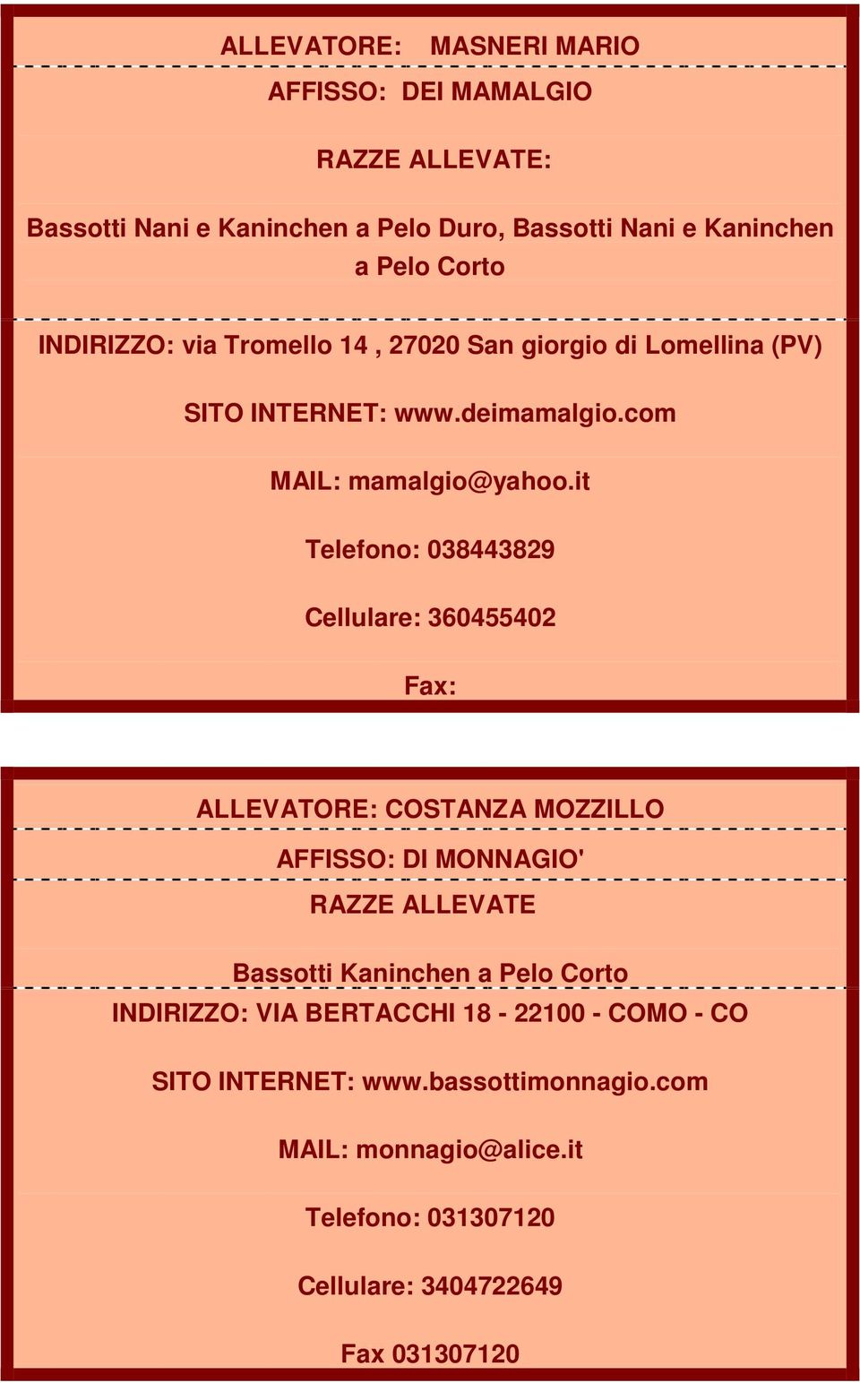 it 038443829 Cellulare: 360455402 : ALLEVATORE: COSTANZA MOZZILLO AFFISSO: DI MONNAGIO' Bassotti Kaninchen a Pelo Corto