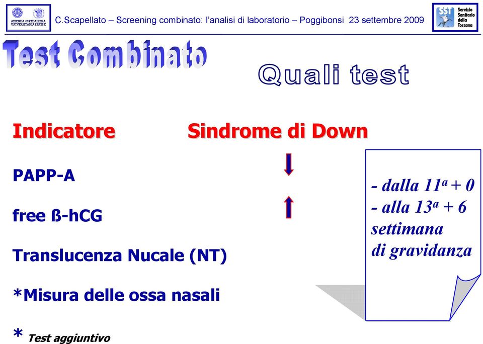 a + 0 - alla 13 a + 6 settimana di