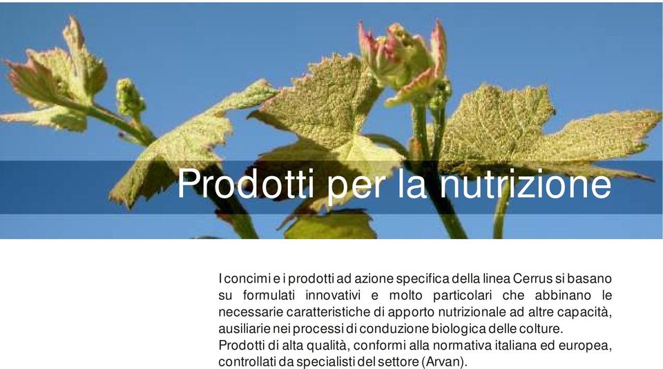 nutrizionale ad altre capacità, ausiliarie nei processi di conduzione biologica delle colture.