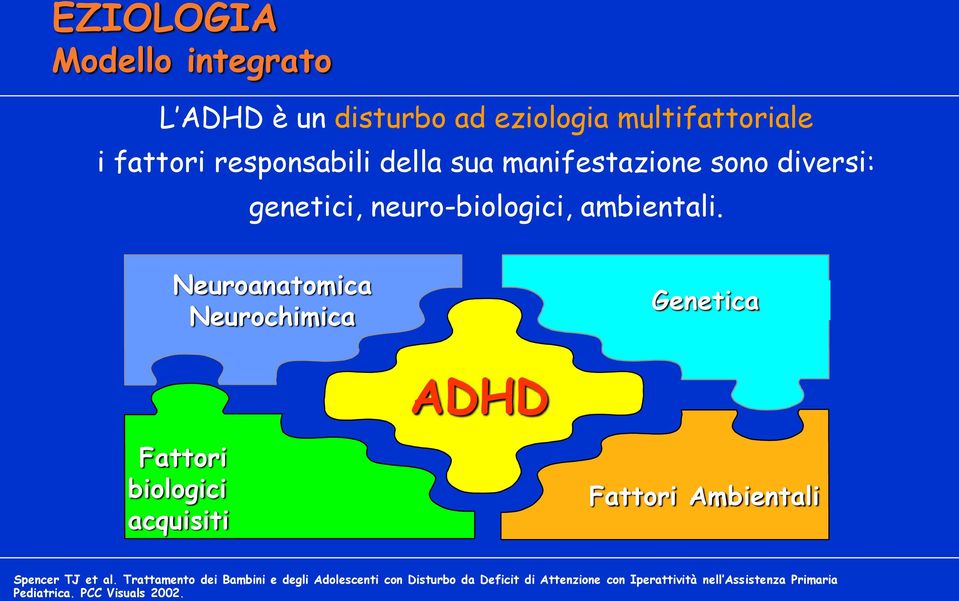 Neuroanatomica Neurochimica Genetica ADHD Fattori biologici acquisiti Fattori Ambientali Spencer TJ et al.