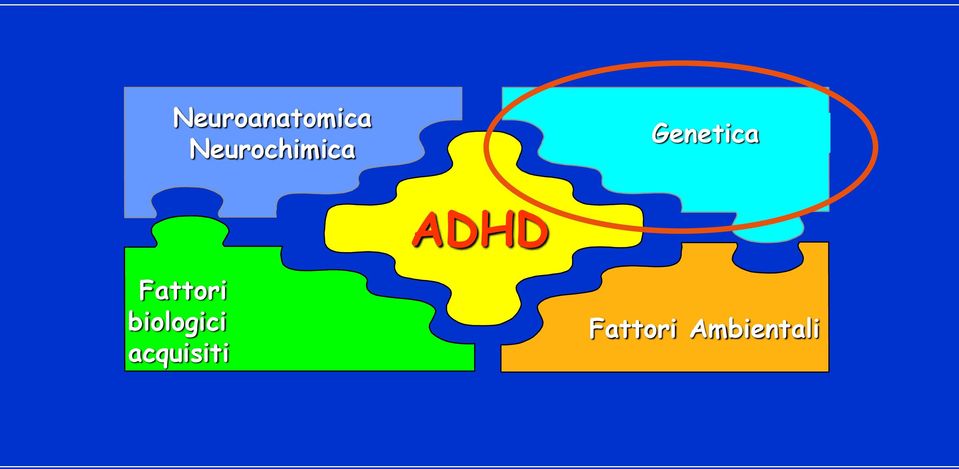 ADHD Fattori