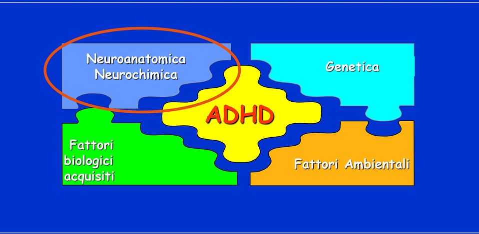 ADHD Fattori